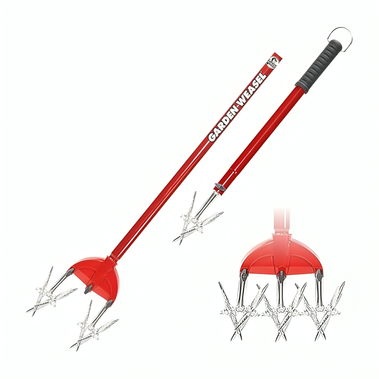 Untitled-design-2024-09-21T003247.656-1.png