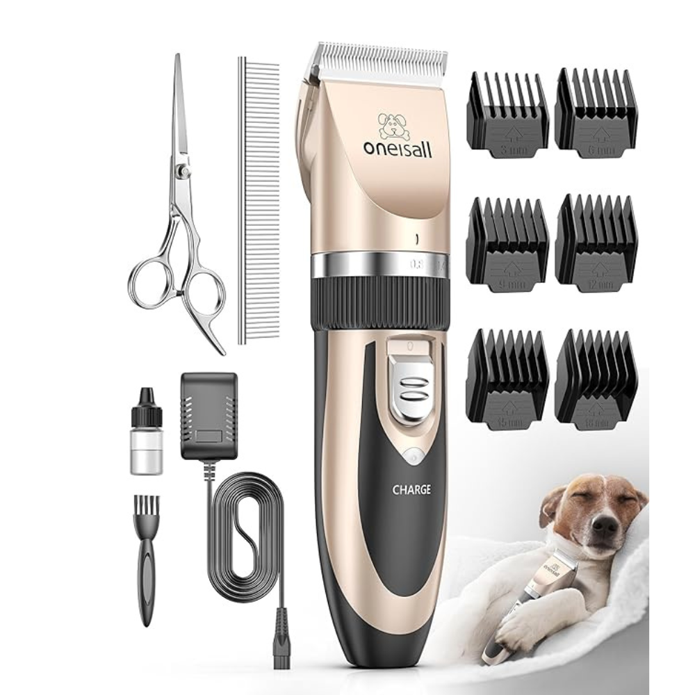Untitled-design-2024-09-21T020024.708.png